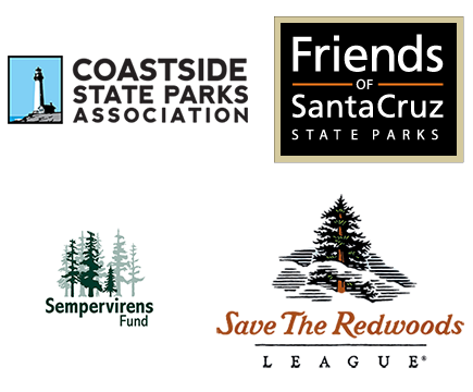Our Partners